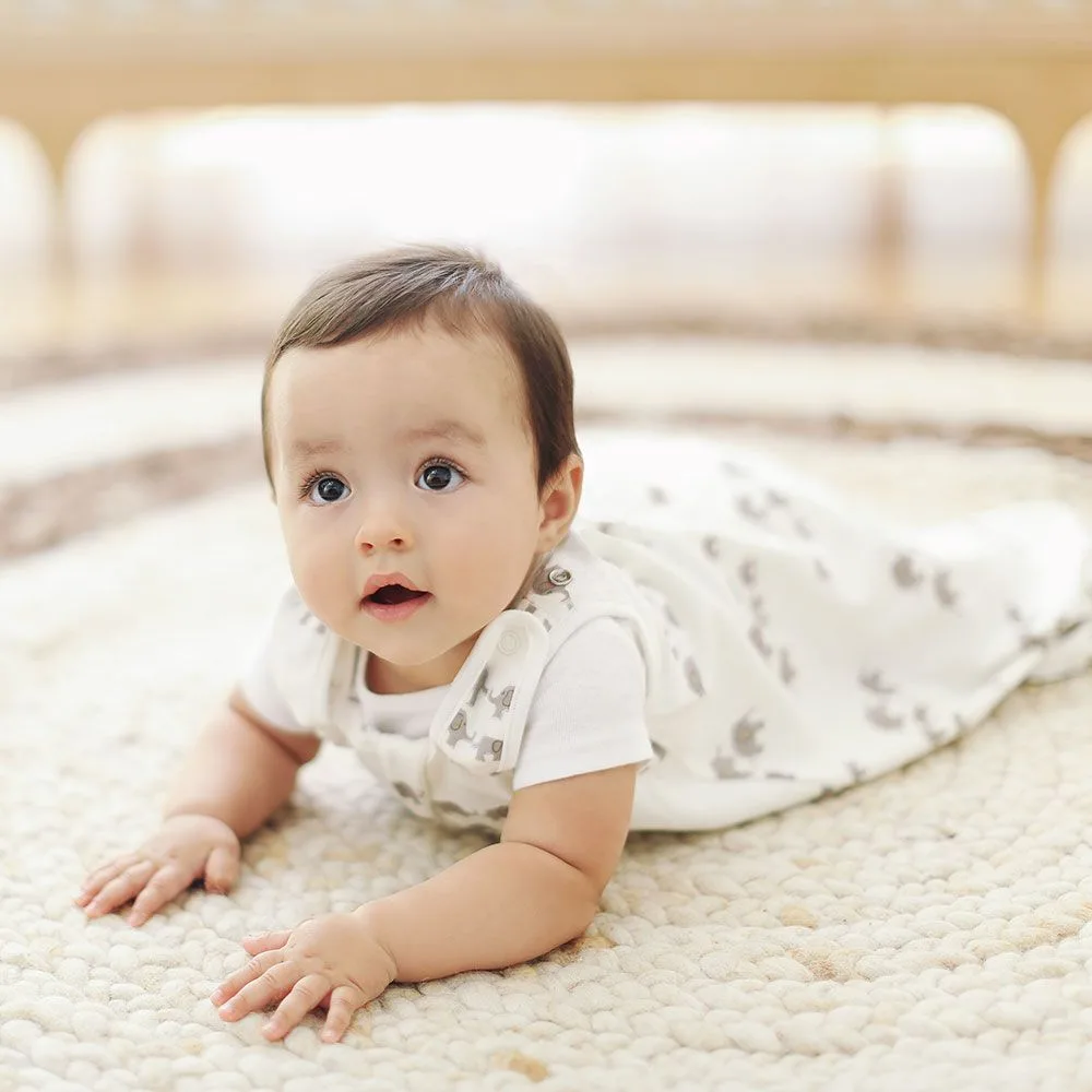 Ergobaby Saco de Dormir 0-6m (TOG 1.0)